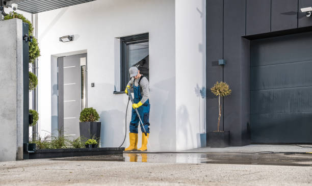 Best Dumpster Area Cleaning  in Rogers, MN